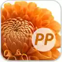 Paragraph Punch  screen for extension Chrome web store in OffiDocs Chromium
