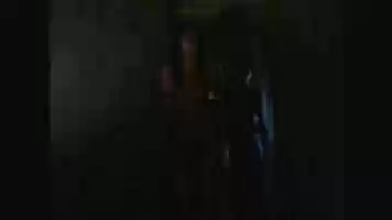 Free download parasite free photo or picture to be edited with GIMP online image editor