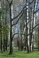 Free download Park mladenaca, Trnsko, Zagreb, 28.3.2017. free photo or picture to be edited with GIMP online image editor