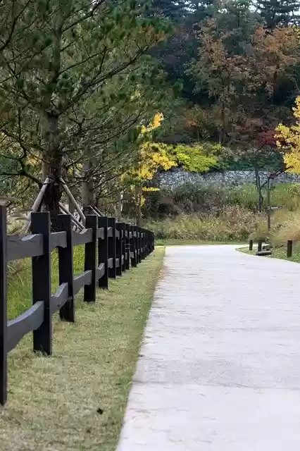 Free download Park Road Walk -  free free photo or picture to be edited with GIMP online image editor