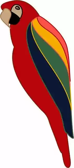 Parrot Bird Red 무료 다운로드 - GIMP 무료 온라인 이미지 편집기로 편집할 수 있는 무료 일러스트레이션