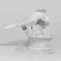 Free download Parrot with spread wings free photo or picture to be edited with GIMP online image editor