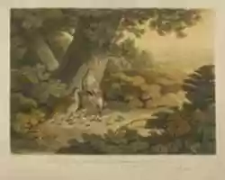 Free download Partridges free photo or picture to be edited with GIMP online image editor