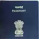 Passport Autofill  screen for extension Chrome web store in OffiDocs Chromium