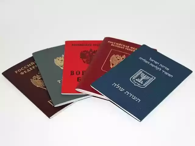 Free graphic passport military id to be edited by GIMP free image editor by OffiDocs