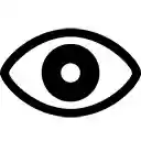 Password Toggle / Copy  screen for extension Chrome web store in OffiDocs Chromium