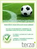 Free download Pasto free photo or picture to be edited with GIMP online image editor