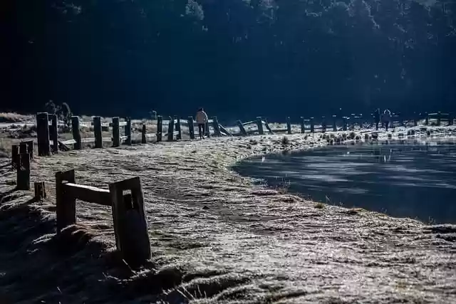 Free download path close frost pond forest free picture to be edited with GIMP free online image editor