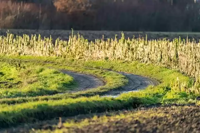 Free download path dirt road grass landscape free picture to be edited with GIMP free online image editor