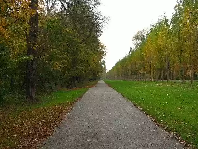 Free download Path Park Garden -  free free photo or picture to be edited with GIMP online image editor