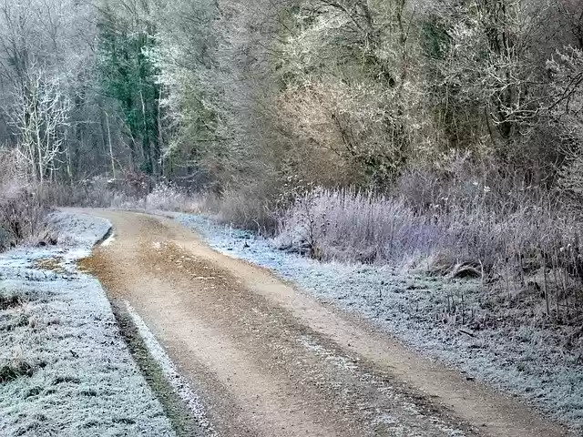 Free download Path Winter Frost -  free free photo or picture to be edited with GIMP online image editor