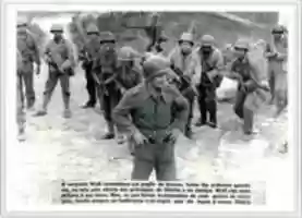 Free download Patrulha Sgt Max Wolf Filho free photo or picture to be edited with GIMP online image editor