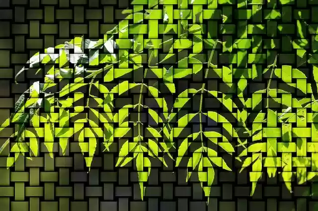 Free download Pattern Green Backlighting -  free illustration to be edited with GIMP online image editor