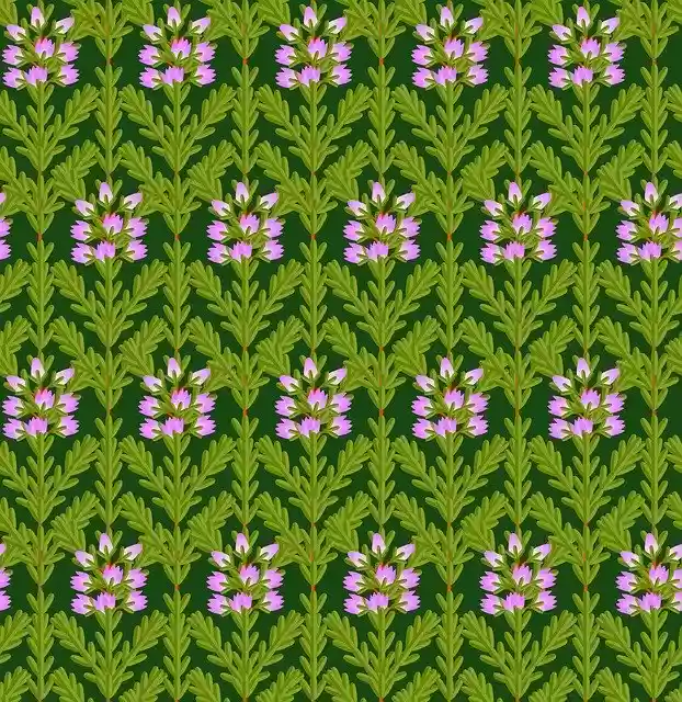 Free download Pattern Nature Texture -  free illustration to be edited with GIMP free online image editor