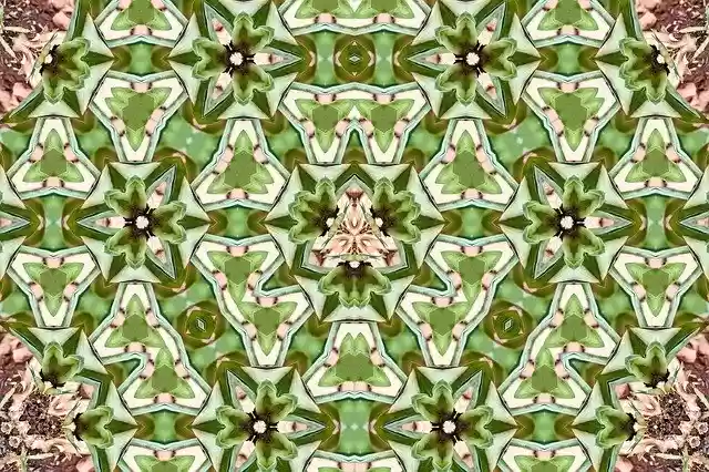 Free download Pattern Ornament Flower -  free illustration to be edited with GIMP free online image editor