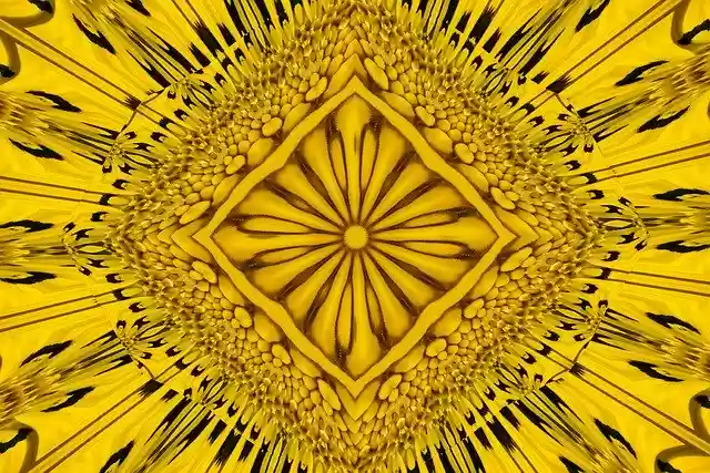 Free download Pattern Petals Pipes -  free illustration to be edited with GIMP free online image editor