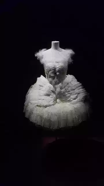 Free download Pavlova Swan Lake -  free photo or picture to be edited with GIMP online image editor