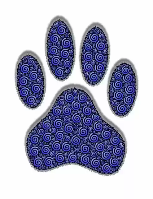 Free download Paw Print Animal -  free illustration to be edited with GIMP free online image editor