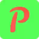 paymanager  screen for extension Chrome web store in OffiDocs Chromium