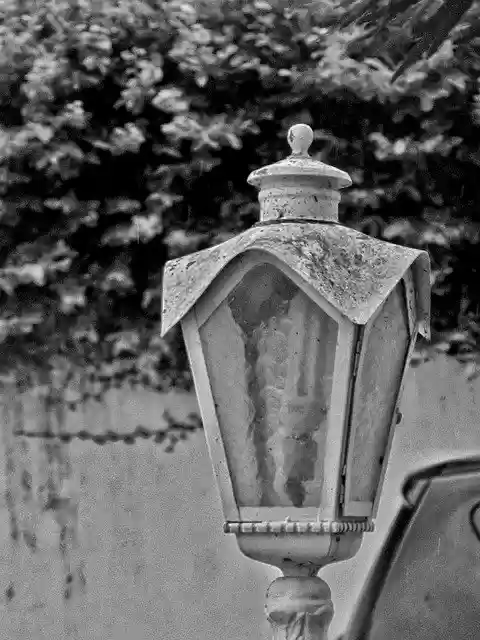 Free download P B Focus Light -  free photo or picture to be edited with GIMP online image editor