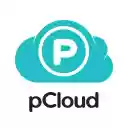 pCloud Save  screen for extension Chrome web store in OffiDocs Chromium