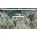 Peaceful Peach Fields  screen for extension Chrome web store in OffiDocs Chromium