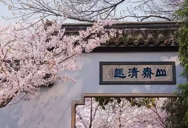 Free download Peach Blossom Architecture -  free photo or picture to be edited with GIMP online image editor