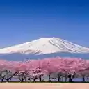 Peach blossom forest wallpaper  screen for extension Chrome web store in OffiDocs Chromium