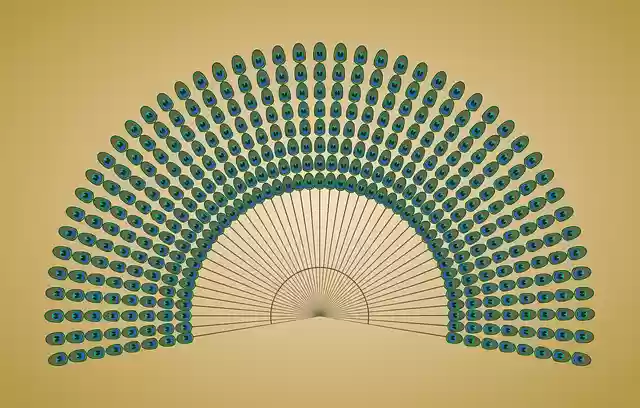 Free download Peacock Feathers Animal - Free vector graphic on Pixabay free illustration to be edited with GIMP free online image editor