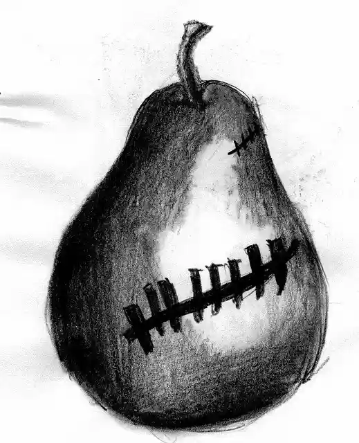 Free download Pear Drawing Pencil -  free illustration to be edited with GIMP free online image editor