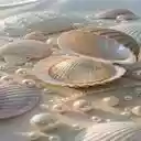 pearls in the sand wallpaper  screen for extension Chrome web store in OffiDocs Chromium