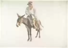 Free download Peasant on a Donkey free photo or picture to be edited with GIMP online image editor