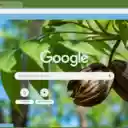 Pecan Tree  screen for extension Chrome web store in OffiDocs Chromium