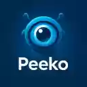Peeko AI Powered Link Summaries  screen for extension Chrome web store in OffiDocs Chromium