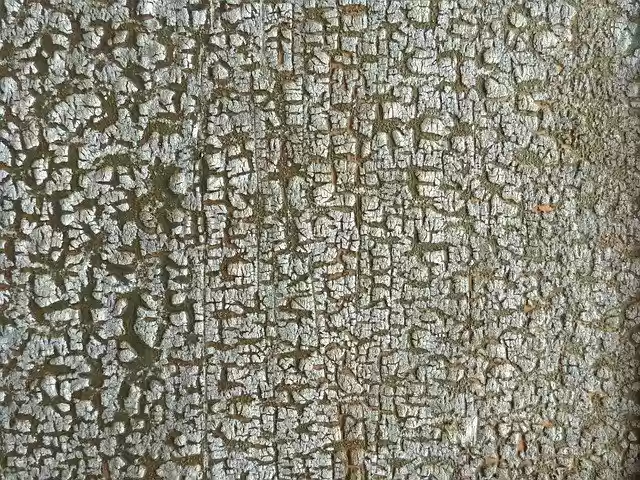 Free download Peeling Paint Cracks Background -  free free photo or picture to be edited with GIMP online image editor