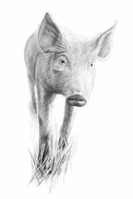 Free download Pencil Drawing Fineart Artwork -  free illustration to be edited with GIMP free online image editor