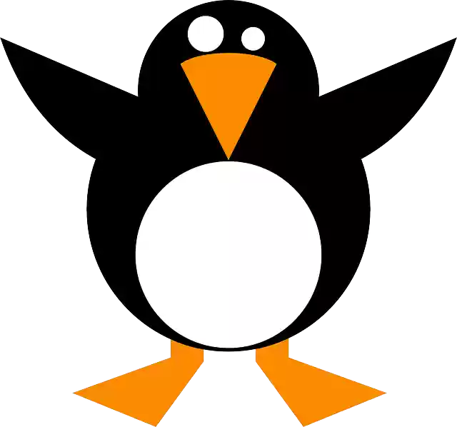 Free download Penguin Black Cold - Free vector graphic on Pixabay free illustration to be edited with GIMP free online image editor