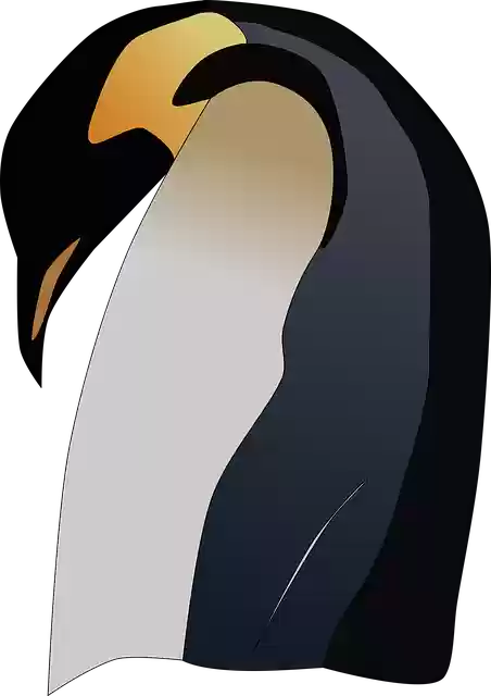 Free download Penguin Emperor Antarctica - Free vector graphic on Pixabay free illustration to be edited with GIMP free online image editor