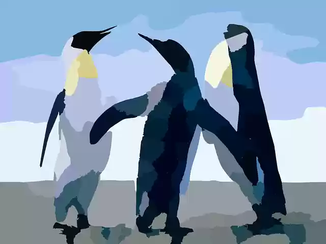 Free download Penguins Aquatic Birds - Free vector graphic on Pixabay free illustration to be edited with GIMP free online image editor