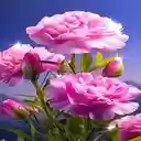 Peony Wallpaper  screen for extension Chrome web store in OffiDocs Chromium