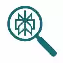 Perplexity Context Menu Search  screen for extension Chrome web store in OffiDocs Chromium