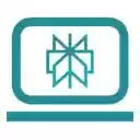 PerplexSearch  screen for extension Chrome web store in OffiDocs Chromium