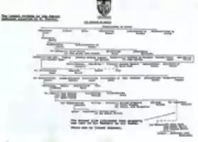 Free download Perrott Pedigree free photo or picture to be edited with GIMP online image editor