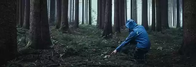 Free download person grim dark mystical nature free picture to be edited with GIMP free online image editor