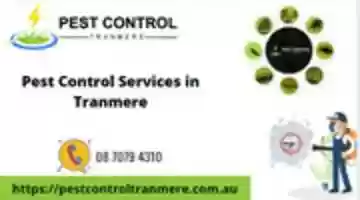Free download Pest Control Tranmere free photo or picture to be edited with GIMP online image editor