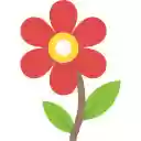 Petal Bliss  screen for extension Chrome web store in OffiDocs Chromium