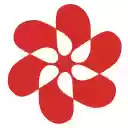 Petal Cite Web Importer  screen for extension Chrome web store in OffiDocs Chromium