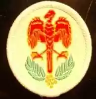 Free download Petroleum Operator Qualification Badge free photo or picture to be edited with GIMP online image editor