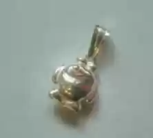 Free download pez plata free photo or picture to be edited with GIMP online image editor