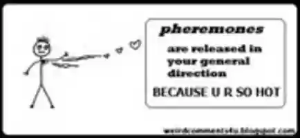 Free download Pheremones cartoon free photo or picture to be edited with GIMP online image editor